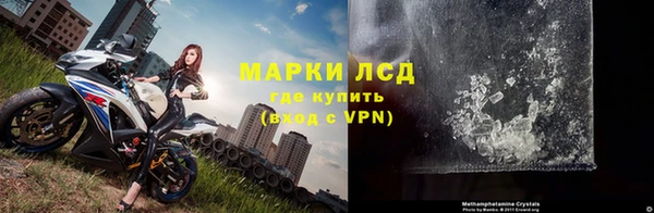 ALPHA PVP Бородино